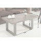 Table basse rectangulaire en bois et pied métal design