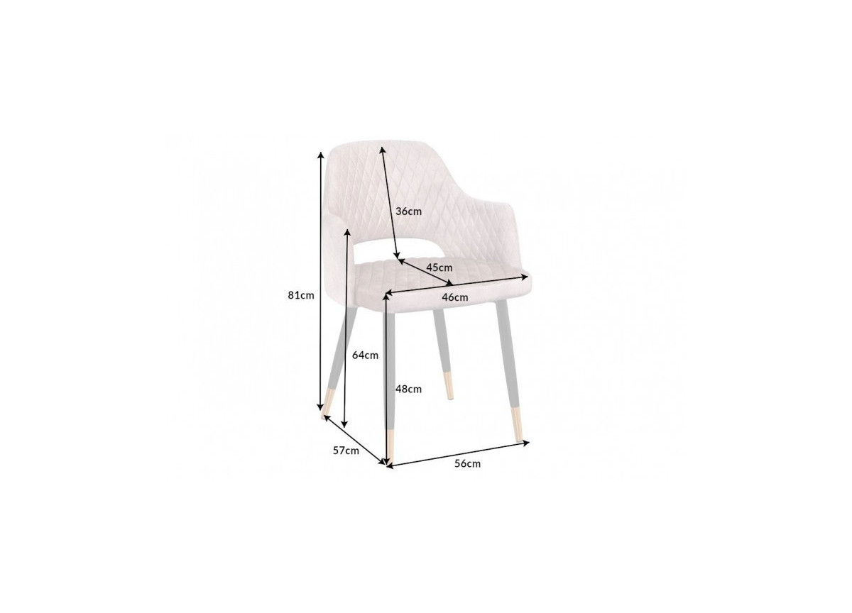 Chaise velours grège avec accoudoir / Pieds noir embouts dorée