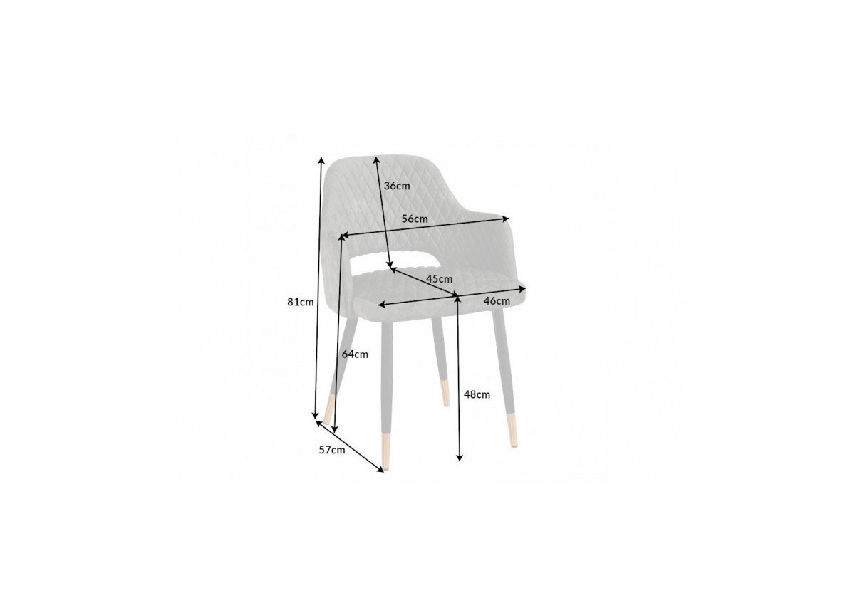 Chaises velours gris vert avec accoudoir / Pieds noir embouts dorés