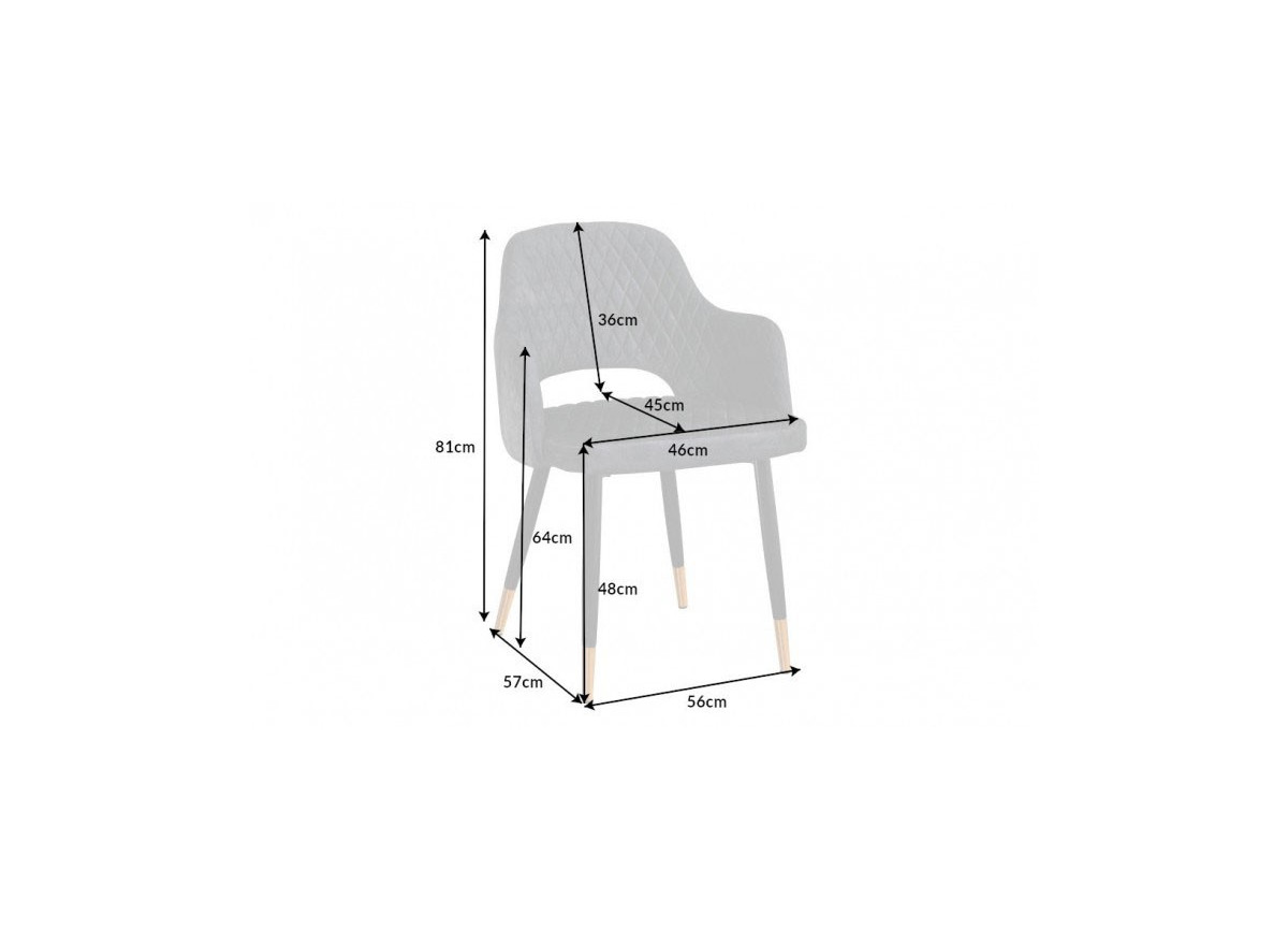 Chaises velours gris avec accoudoir / Pieds noir embouts dorés
