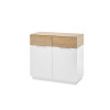 Commode moderne 2 portes blanche et bois