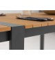 Table de jardin composite et aluminium 123 cm