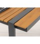 Table d'extérieur composite et aluminium 180 cm