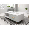 Table basse blanc et gris brillant moderne