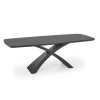 Table contemporaine extensible grise foncé