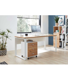 Table de bureau blanc et bois