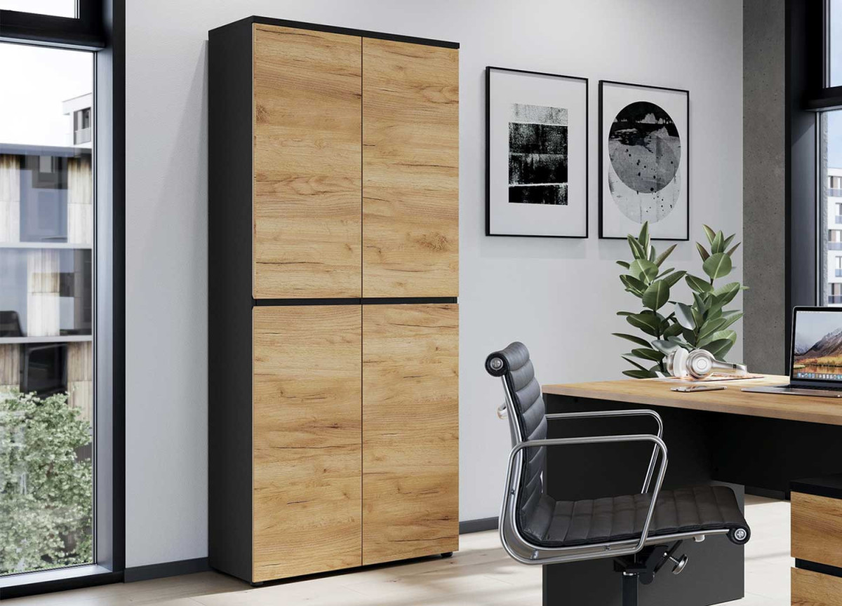 Armoire de bureau pour documents