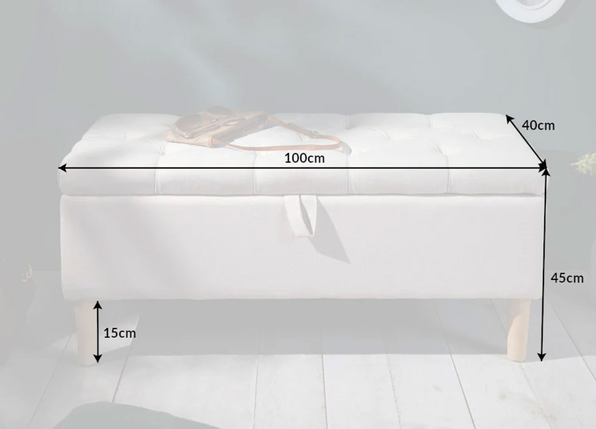 Banc avec Coffre Scandinave Beige et Bois
