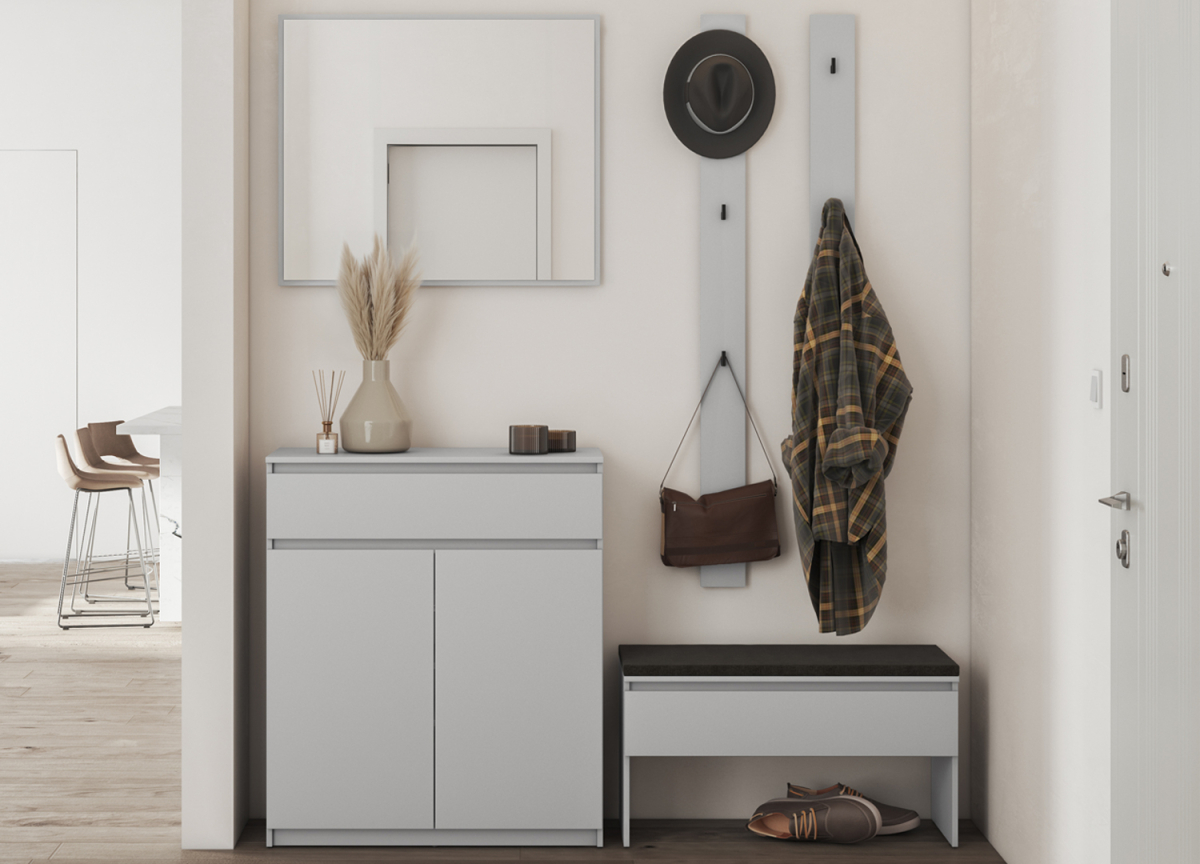 Ensemble d'entrée gris moderne