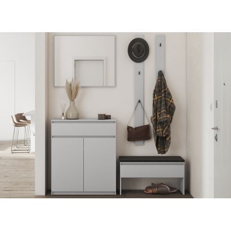 Ensemble d'entrée gris moderne