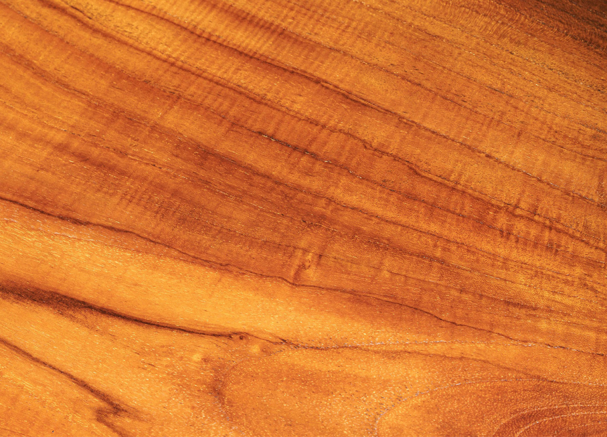 Banc à Chaussures en Teck Naturel avec Imperfections