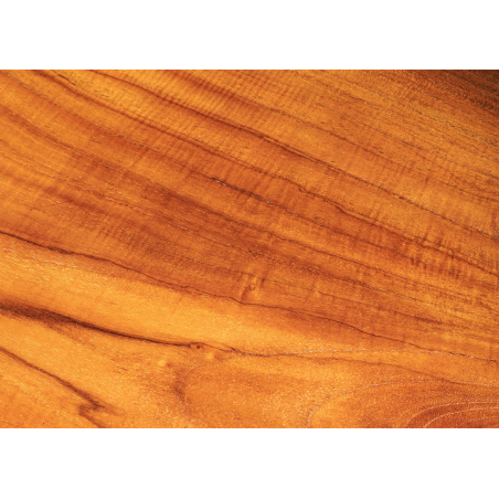 Banc à Chaussures en Teck Naturel avec Imperfections