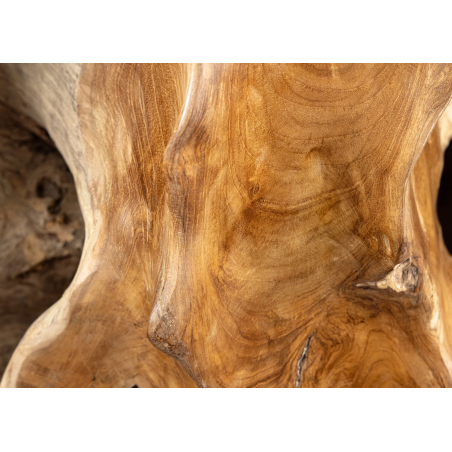Console Racine de Bois et Verre