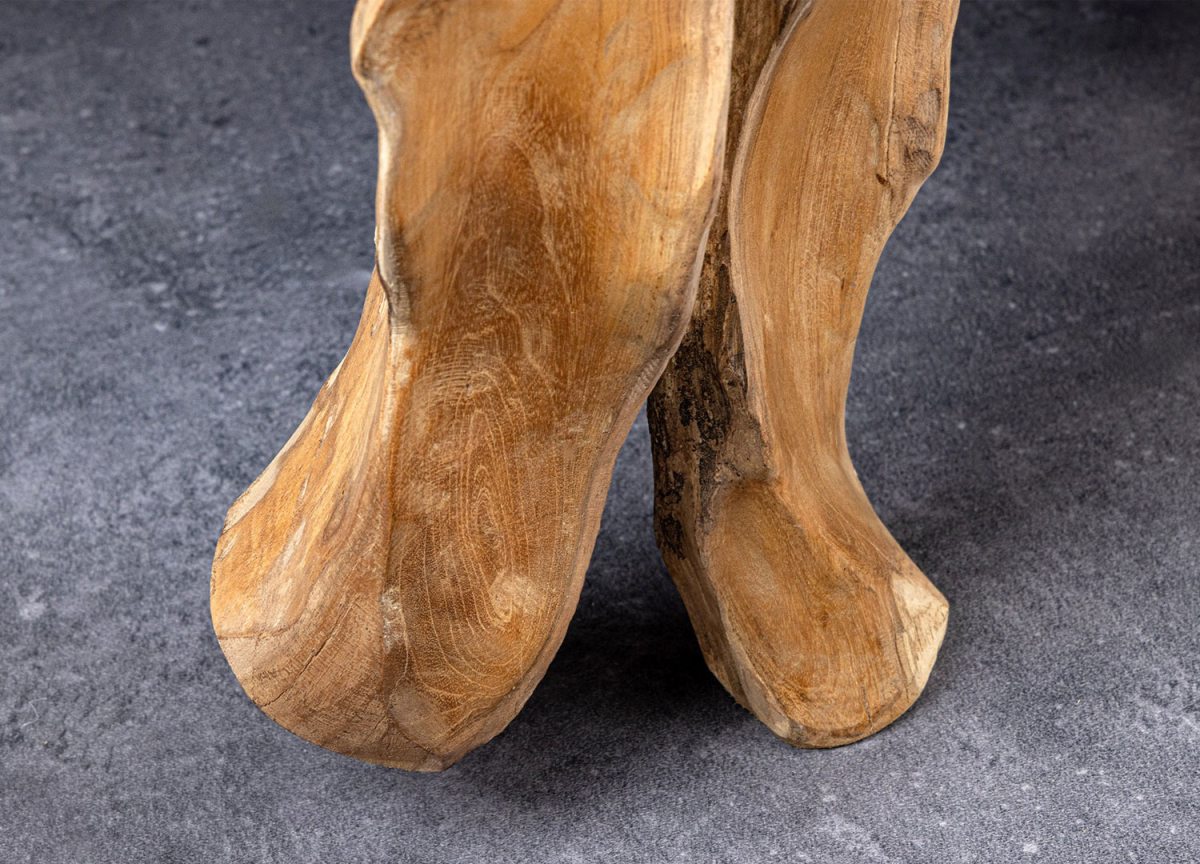 Console Racine de Bois et Verre