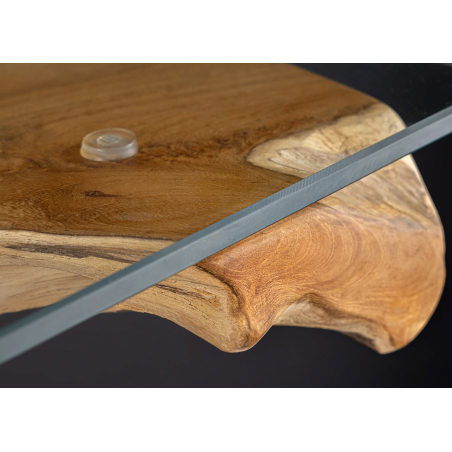 Console Racine de Bois et Verre