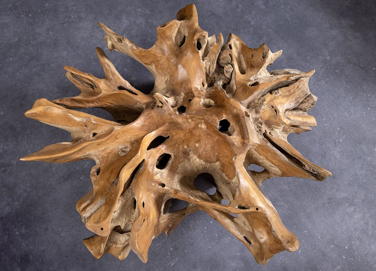 Grande table basse en bois de teck flotté avec plateau en verre trempé