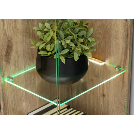 Vitrine avec LED et Étagères en verre – Bois et Cachemire
