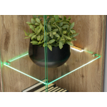 Vitrine avec LED et Étagères en verre – Bois et Cachemire