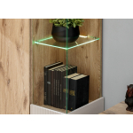 Mur TV Design avec Cheminée Bioéthanol, Vitrines et Rangements