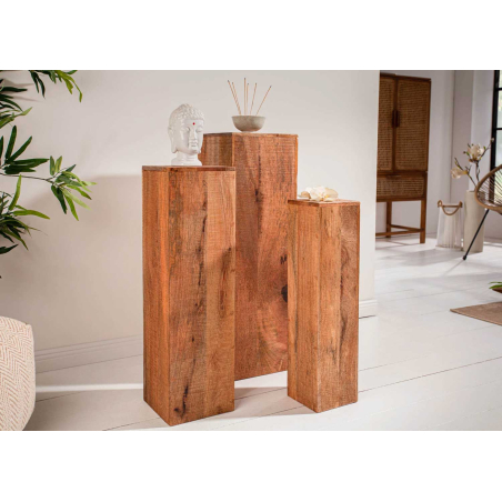 Set de colonnes décoratives en bois brut