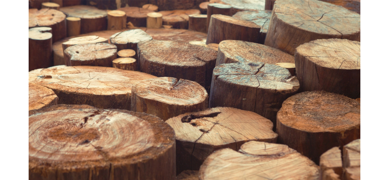 Le bois de teck Le bois de teck