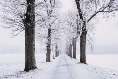 Comment décorer votre maison pour l’hiver ? 